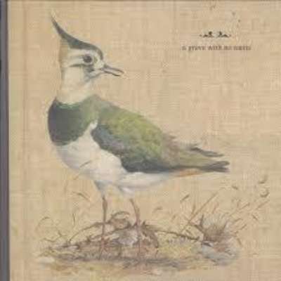 A Grave With No Name - Feathers Wet, Under the Moon