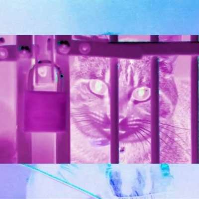 Alice Glass has a new video for ‘Cease and Desist’