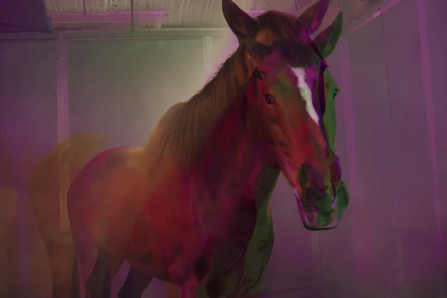 Avey Tare shares video for ‘HORS_’