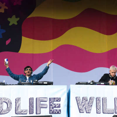 Watch footage of The Avalanches’ first full band show back