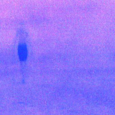 London group BANU drift into spotlight with new track ‘Pretty Lady, Me’