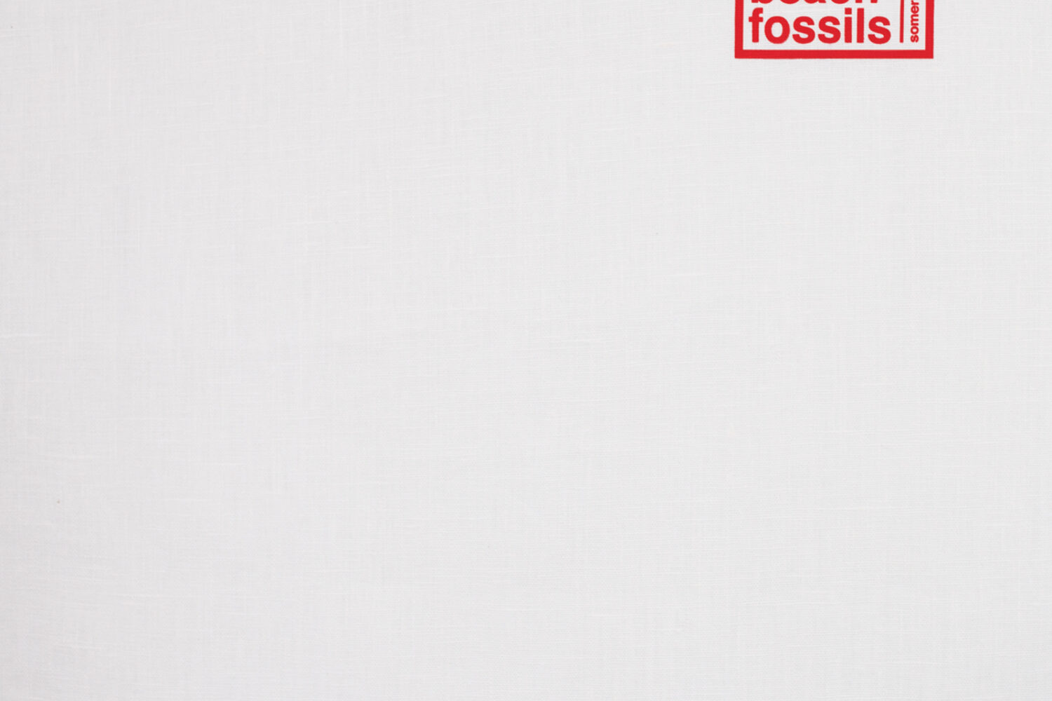 kazu makino on beach fossils song kazu makino on beach fossils song