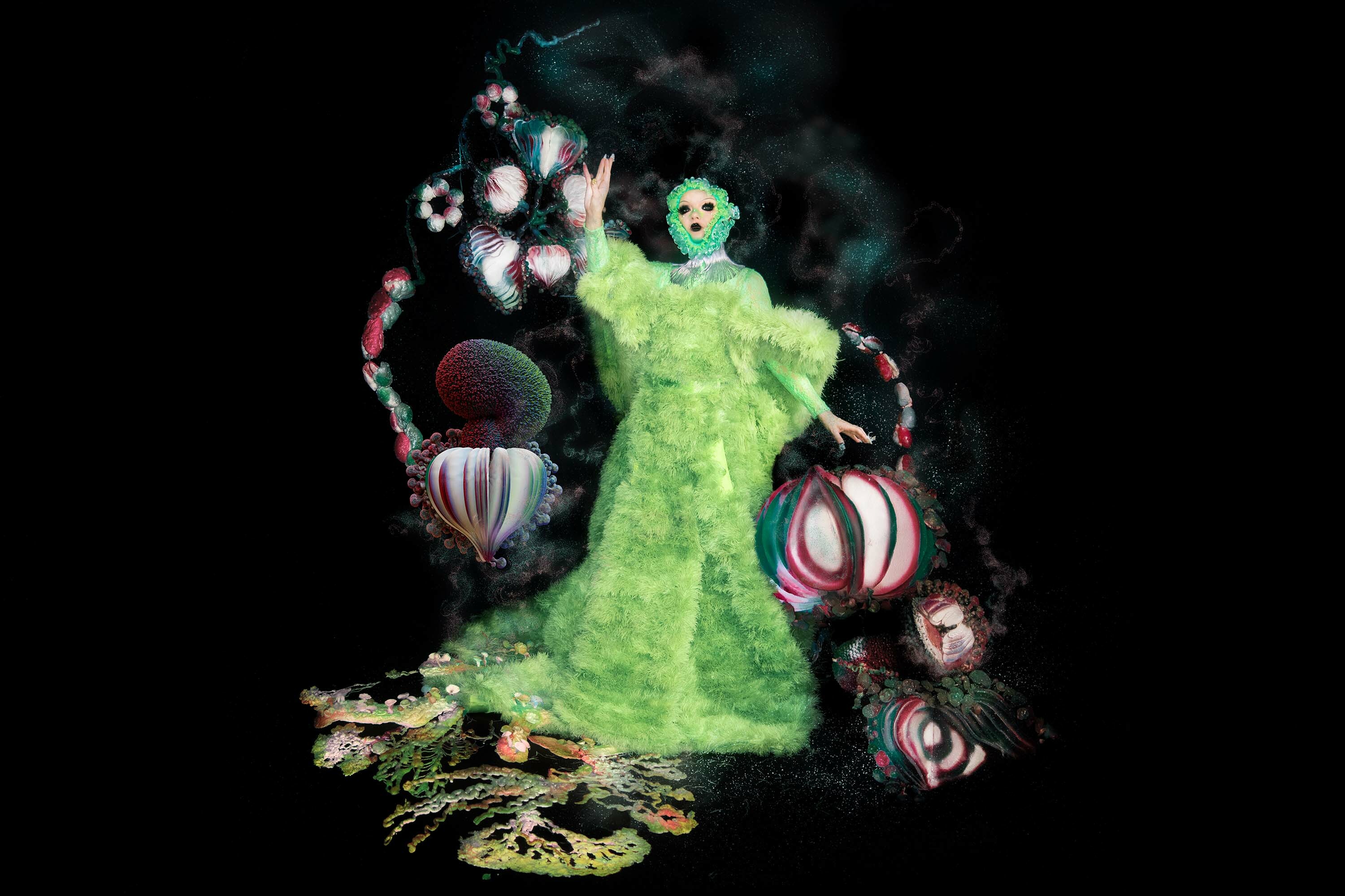 Björkophilia: A comprehensive guide to Björk - Vimarsana News