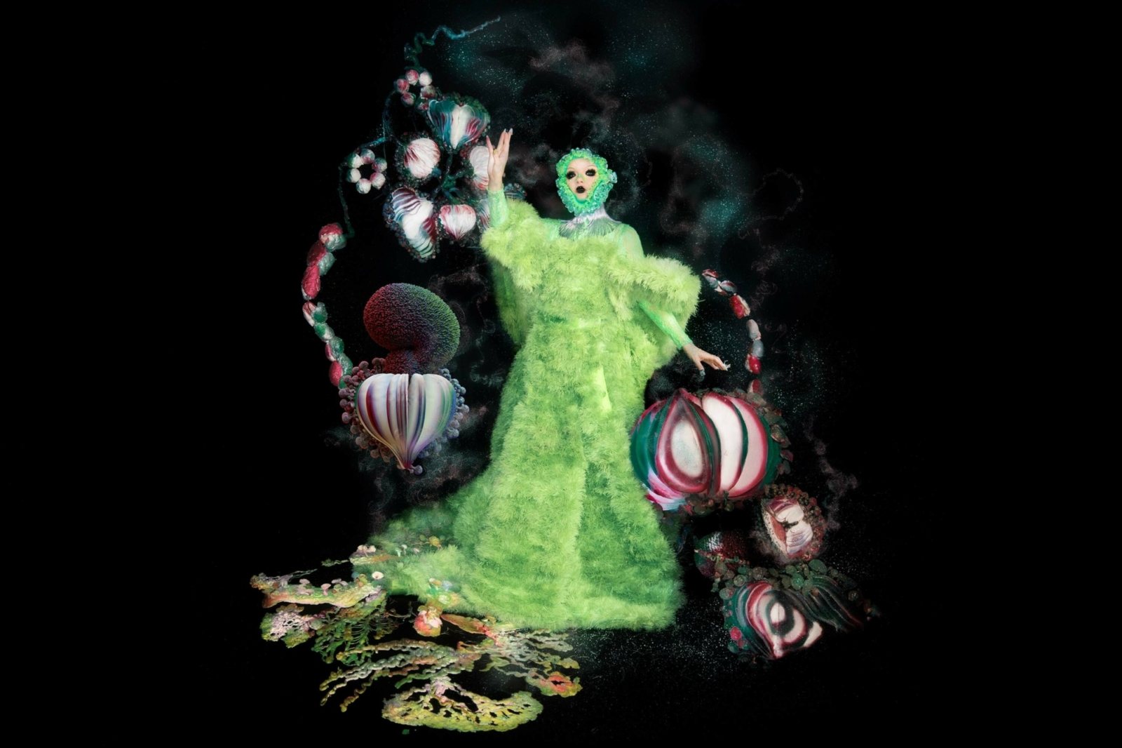 Tracks: Björk, Sorry, Blackstarkids and more