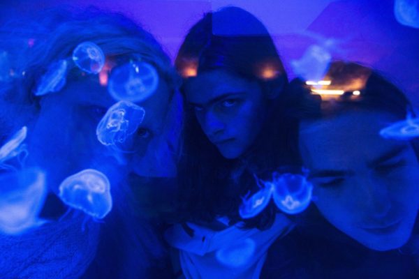 Class of 2017: Blaenavon
