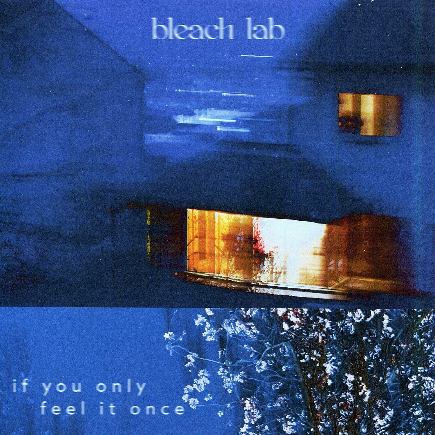 Bleach Lab If You Only Feel It Once Review TrendRadars UK