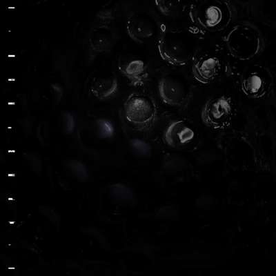 Crumb - Ice Melt