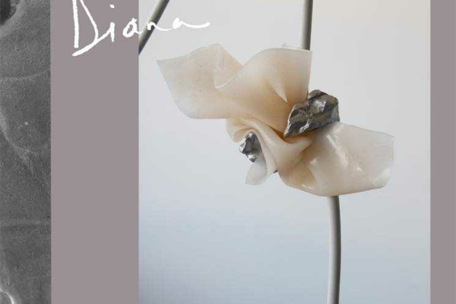 DIANA - Familiar Touch