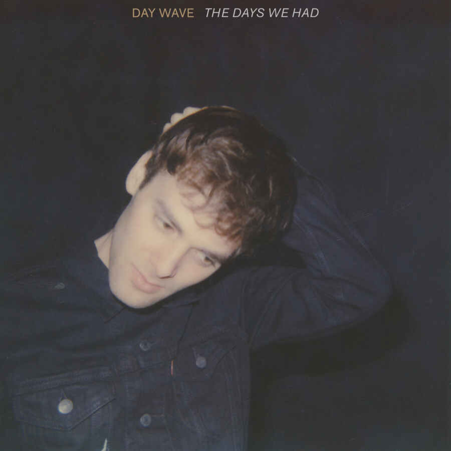 Day Wave - The Days We Had