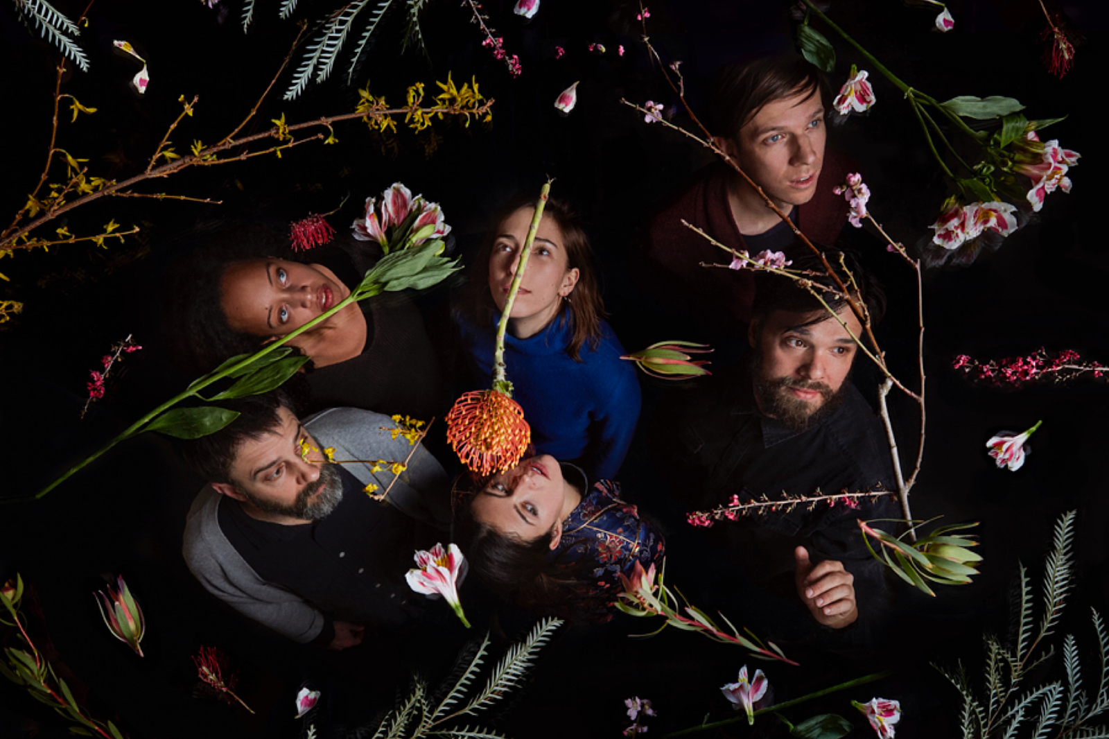 Dirty Projectors announce new album ft Haim, Rostam, Robin Pecknold (Fleet Foxes) and more