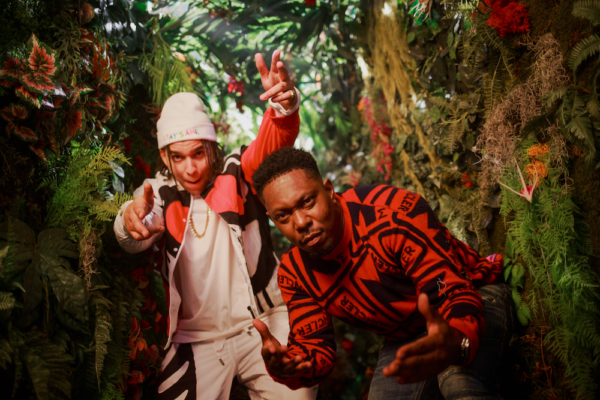 Dizzee Rascal unveils 'Don't Be Dumb' video