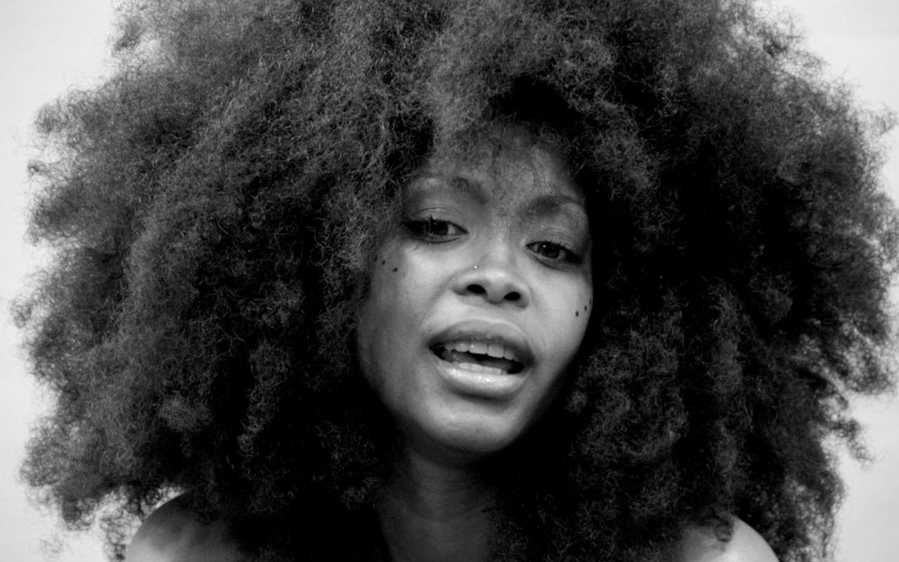 Erykah Badu Links Up For Andre 3000 For Hello News Diy