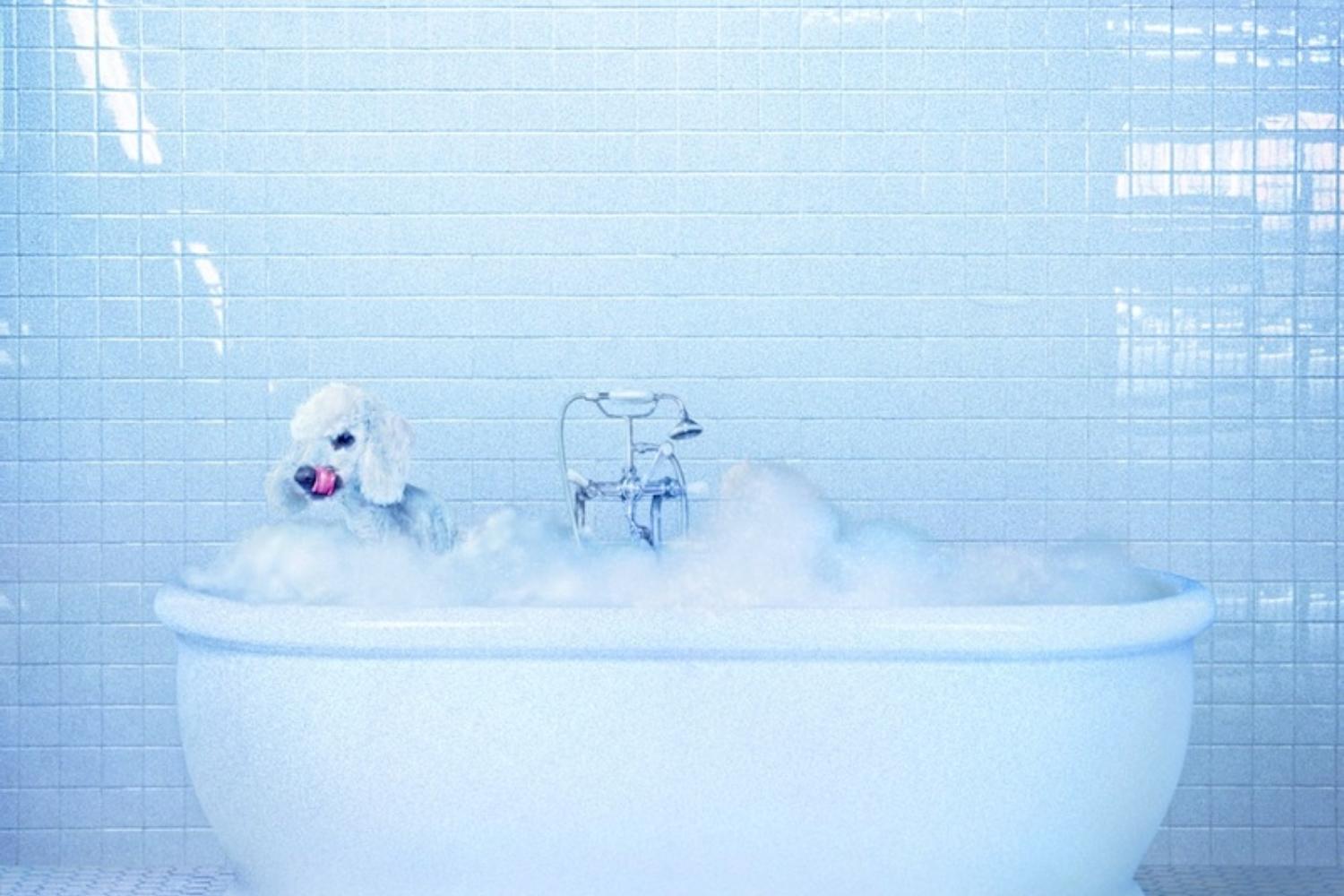 Frankie Cosmos - Vessel