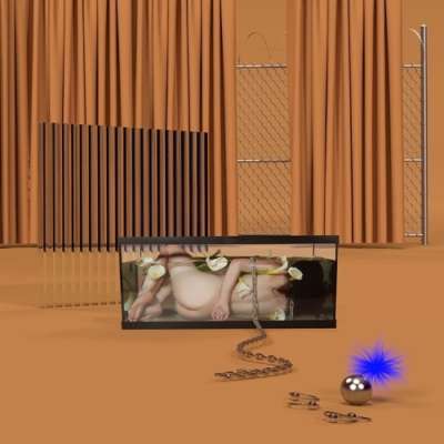 Frigs - Basic Behaviour