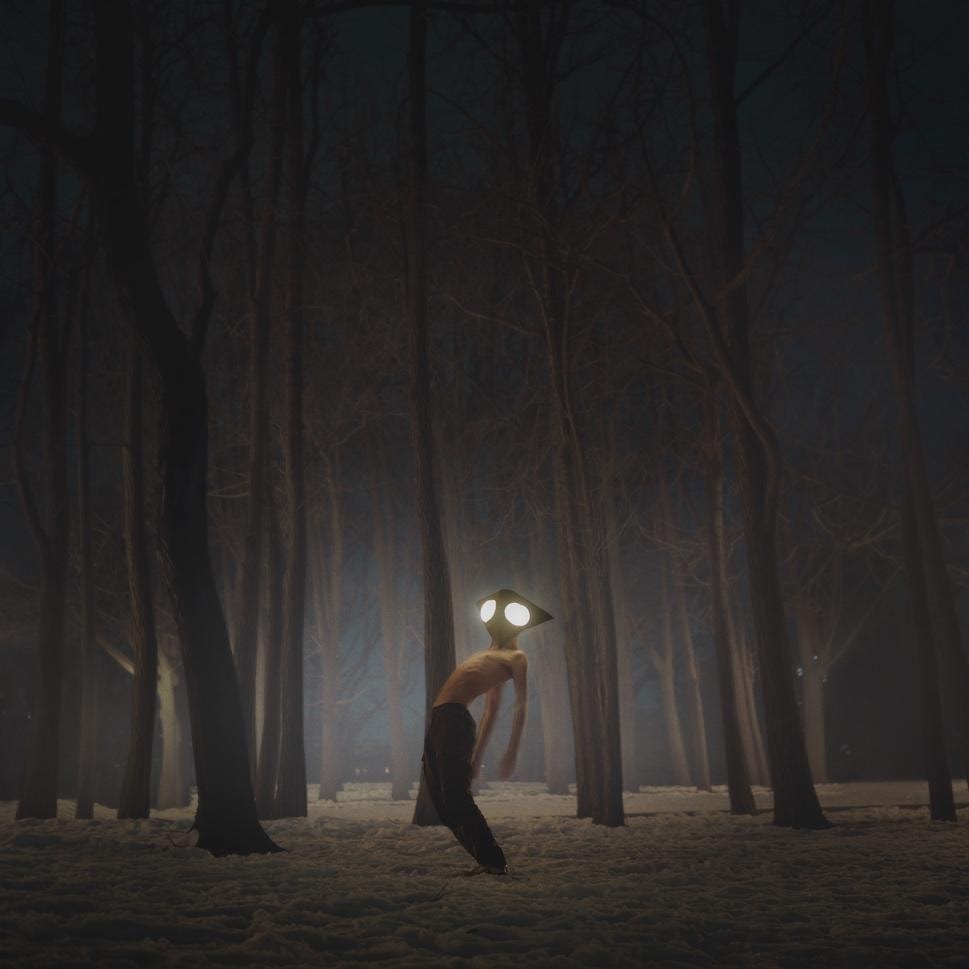 Geese - Projector - Vimarsana News