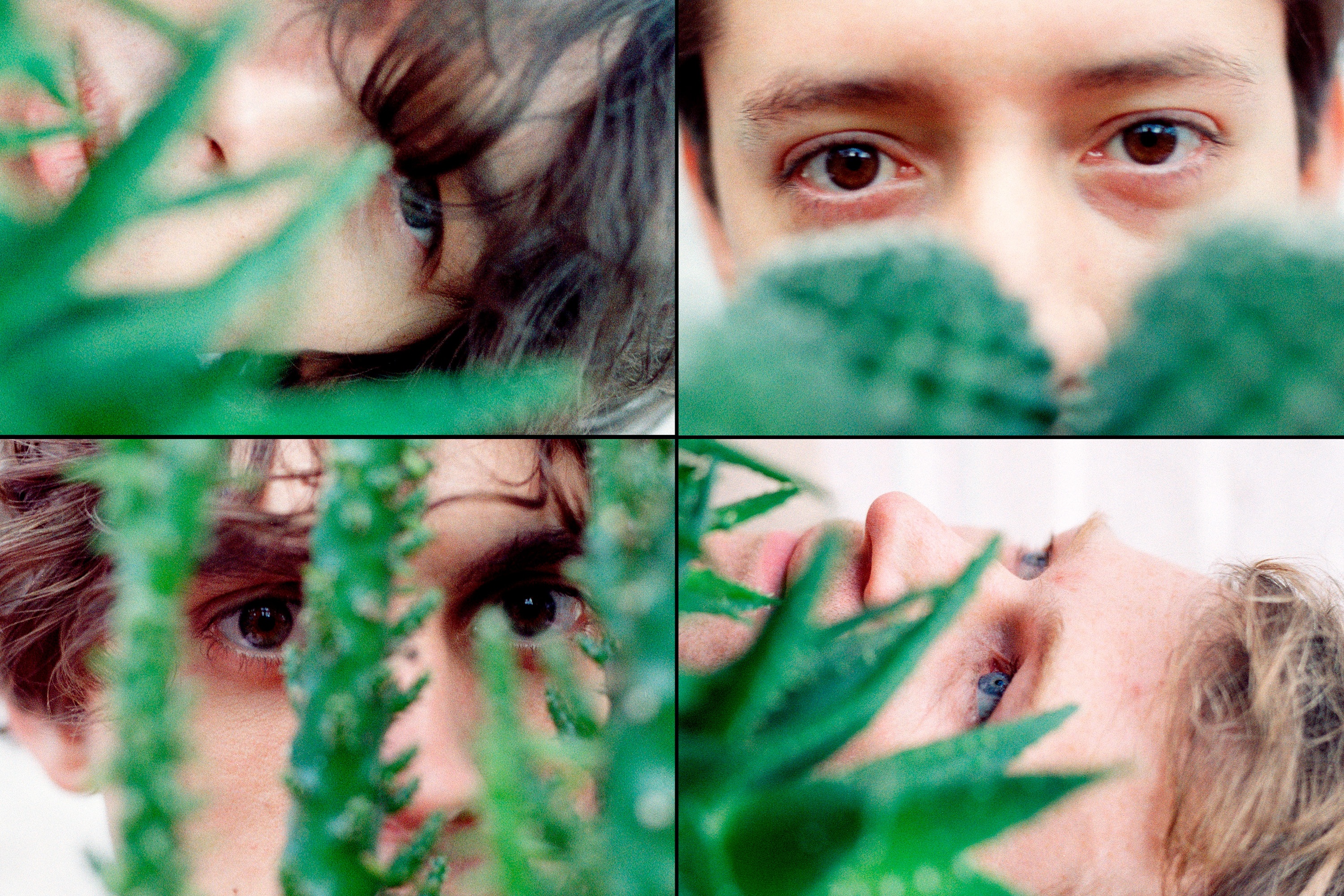 Nature Boys: Gengahr