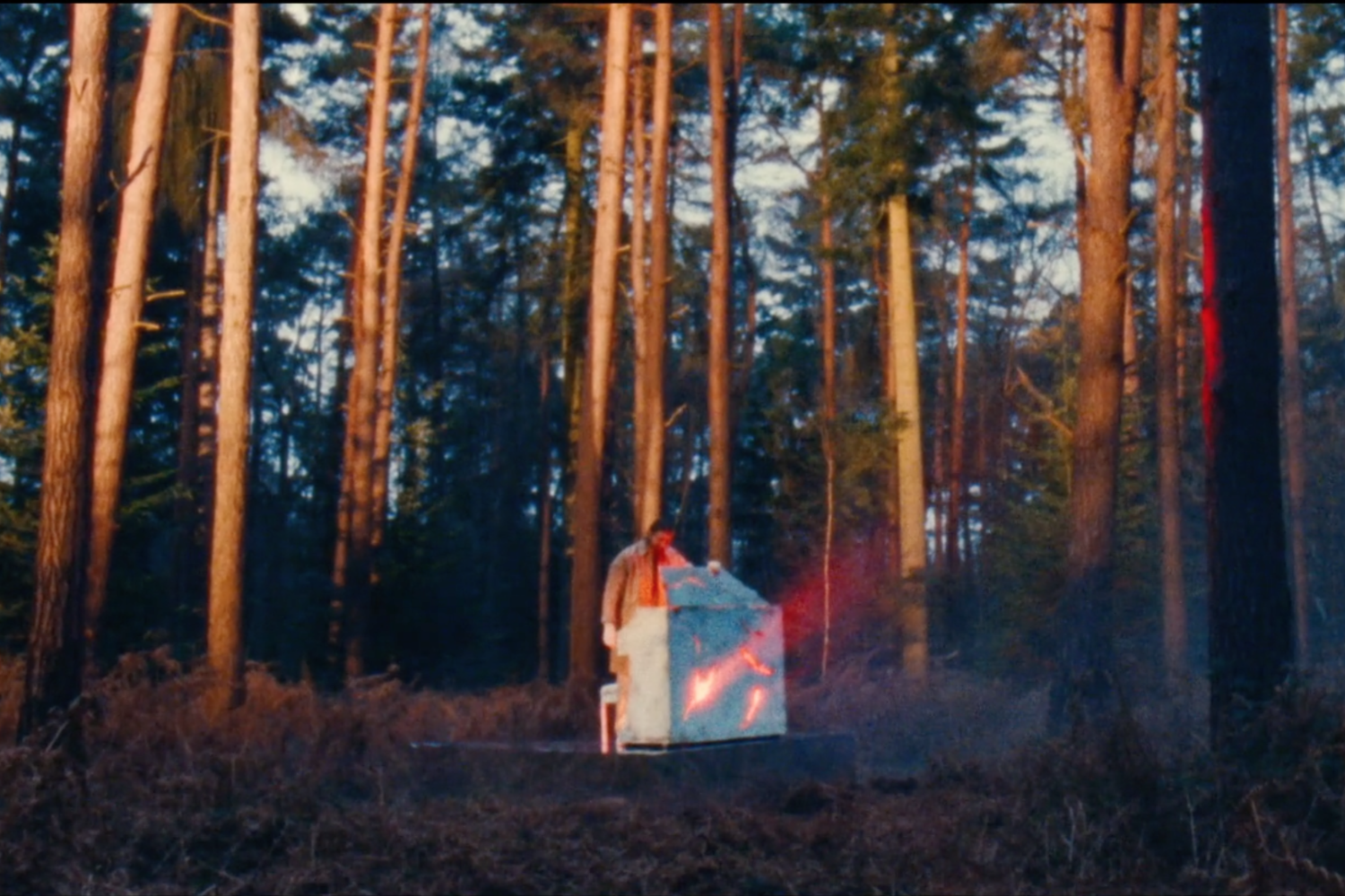 Former Wild Beasts frontman Hayden Thorpe returns with debut solo track 'Diviner'