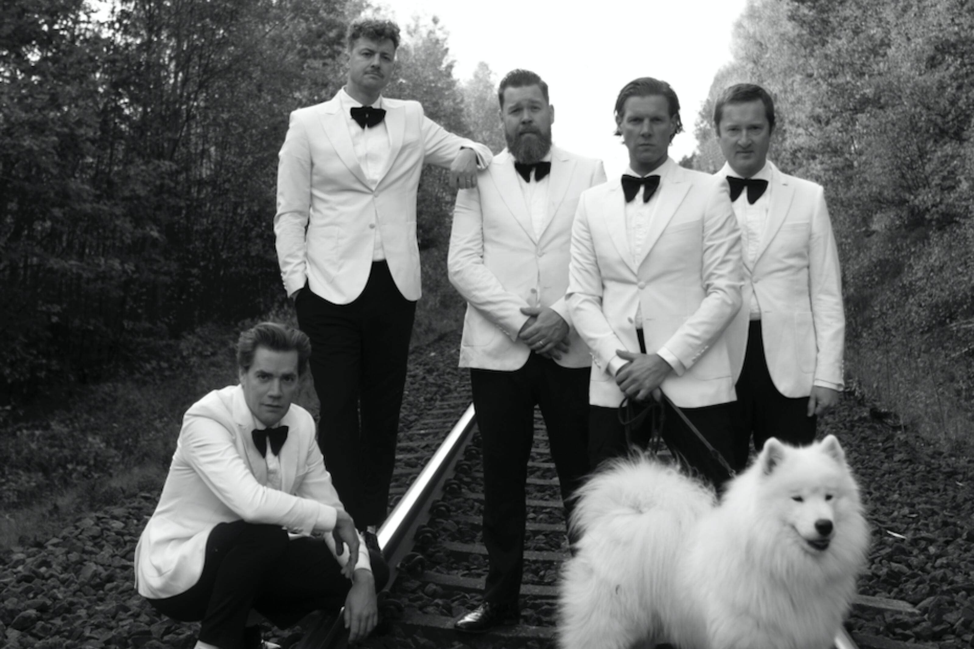 The Hives Unveil ‘Lex Hives’ Album Artwork, Tracklisting DIY Magazine