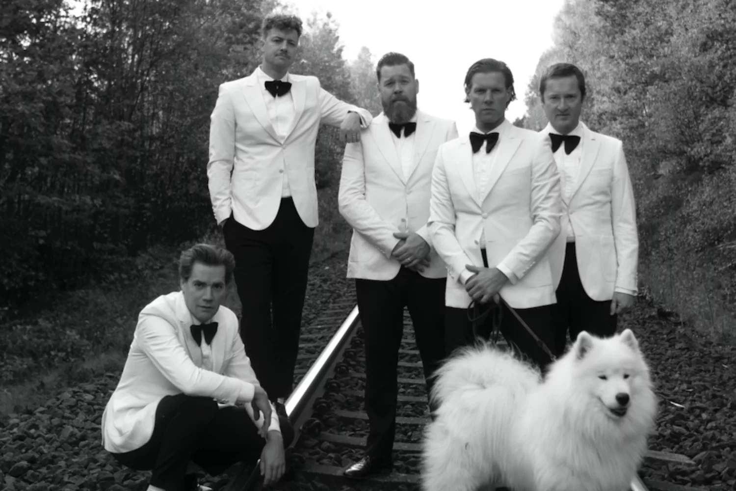 The Hives announce 'The World’s First World Wide Web World Tour'