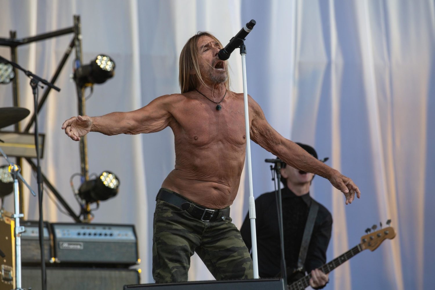 Iggy Pop announces new album 'Free'