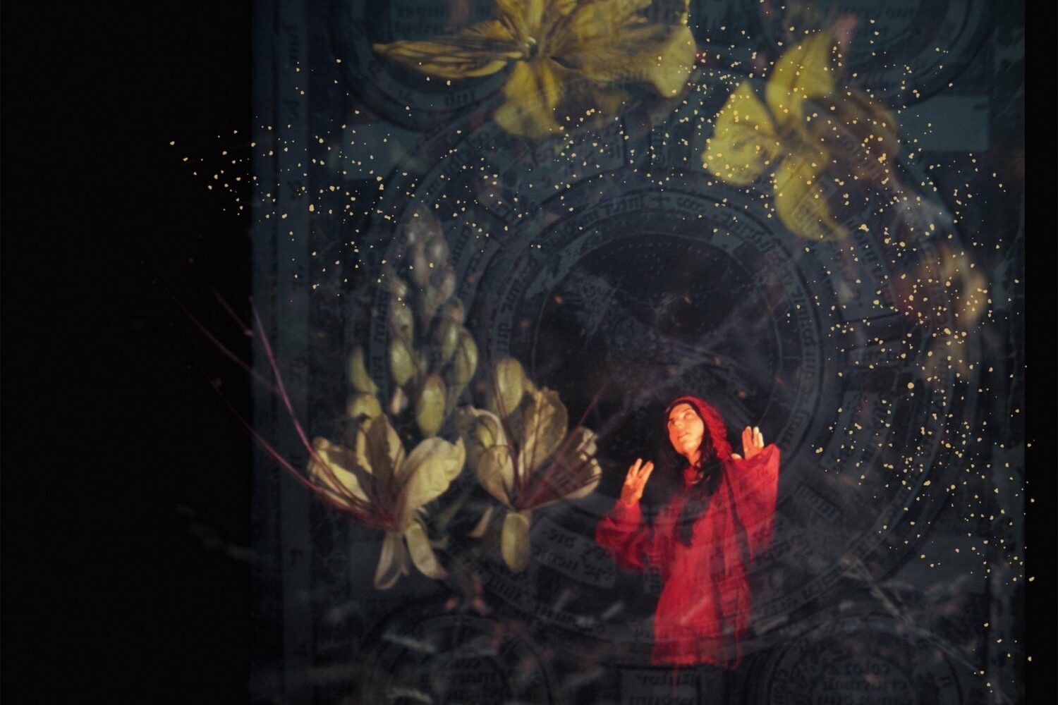 Julia Holter - Aviary