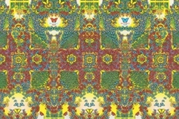 King Gizzard & The Lizard Wizard - Butterfly 3000