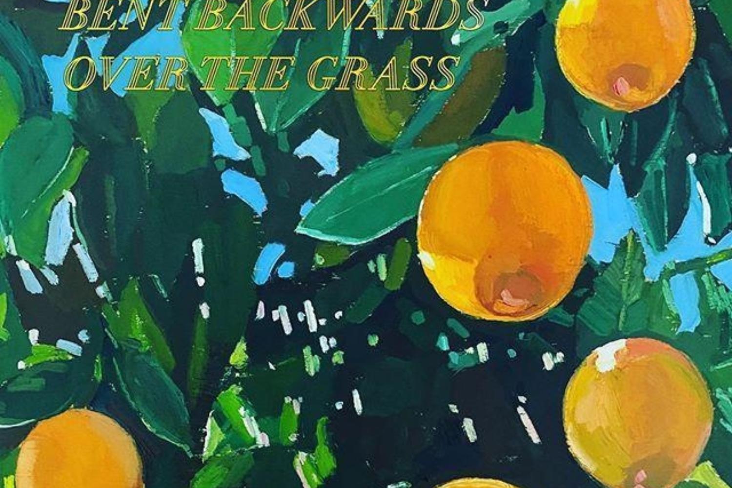 Lana Del Rey - Violet Bent Backwards Over The Grass