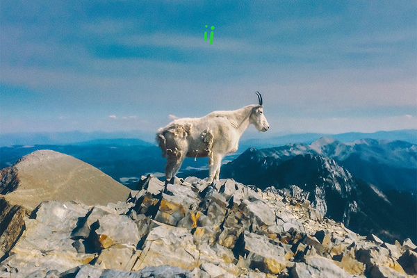 Liima - ii