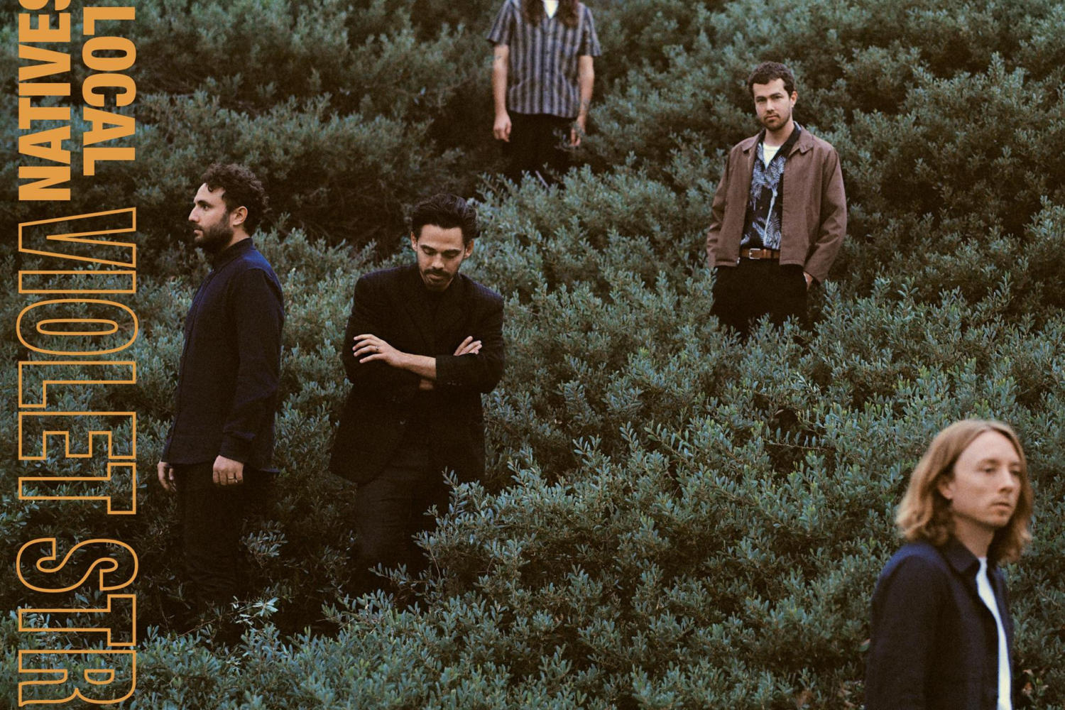 Local Natives - Violet Street