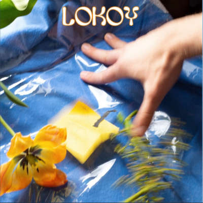 Lokoy - Badminton