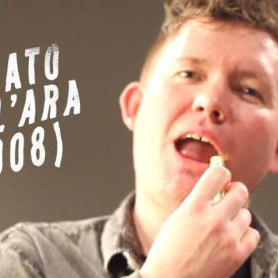 Los Campesinos! document their US tour in ‘Renato Dall’Ara (2008)’ video