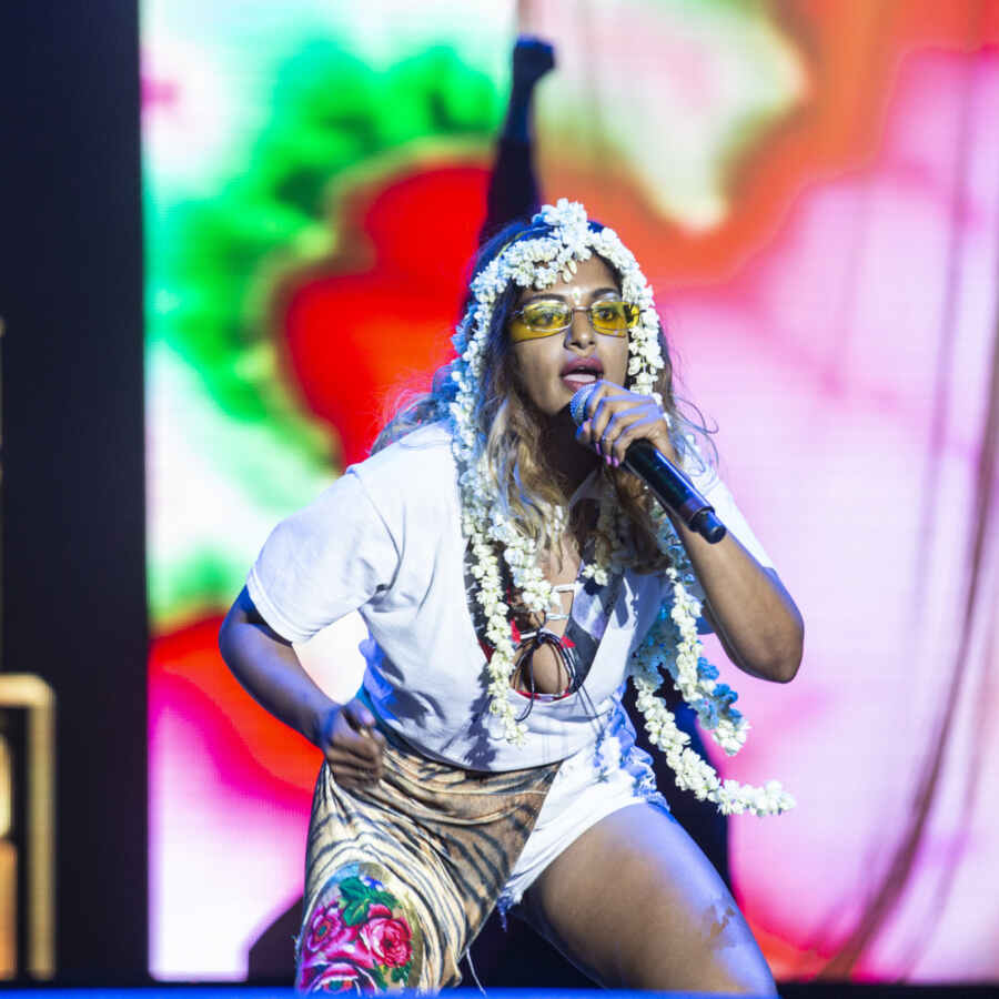 M.I.A. says she's quitting music for a while