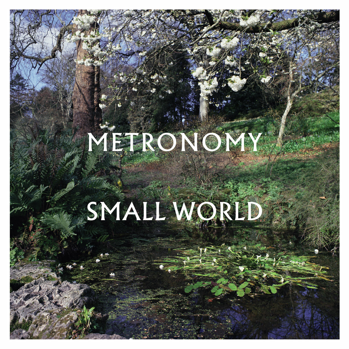 Metronomy - Small World review | DIY Magazine - Vimarsana News