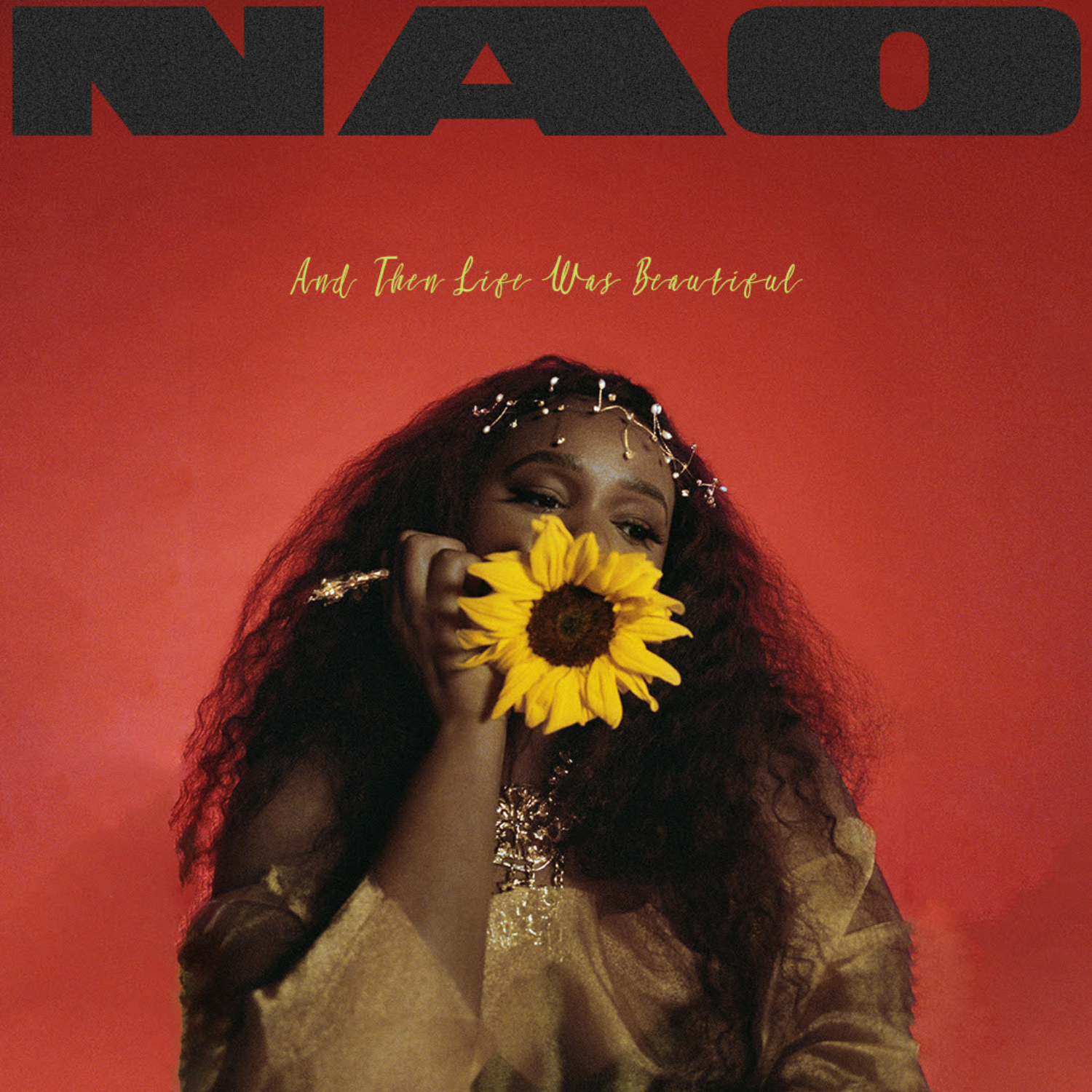 NAO - And Then Life Was Beautiful