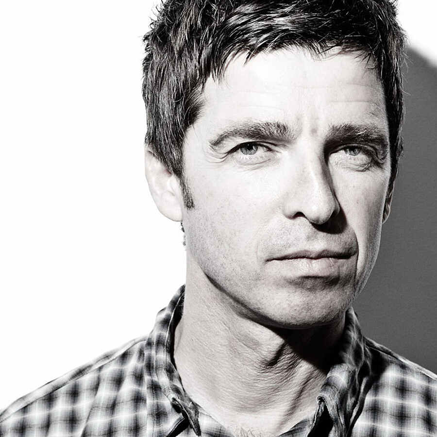Noel Gallagher's High Flying Birds is 2015's biggest selling artist (so far) on the Official Vinyl Charts