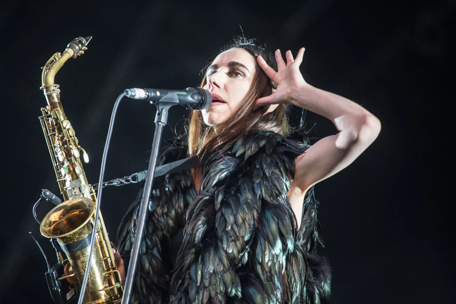 PJ Harvey, Future Islands and Ryan Adams are headlining Green Man 2017