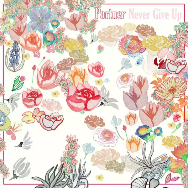 Partner - Never Give Up