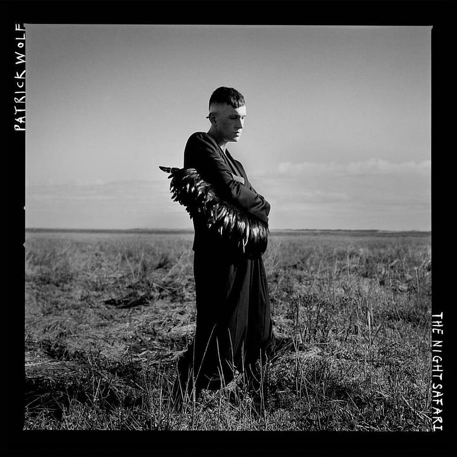 Patrick Wolf - Night Safari - Vimarsana News