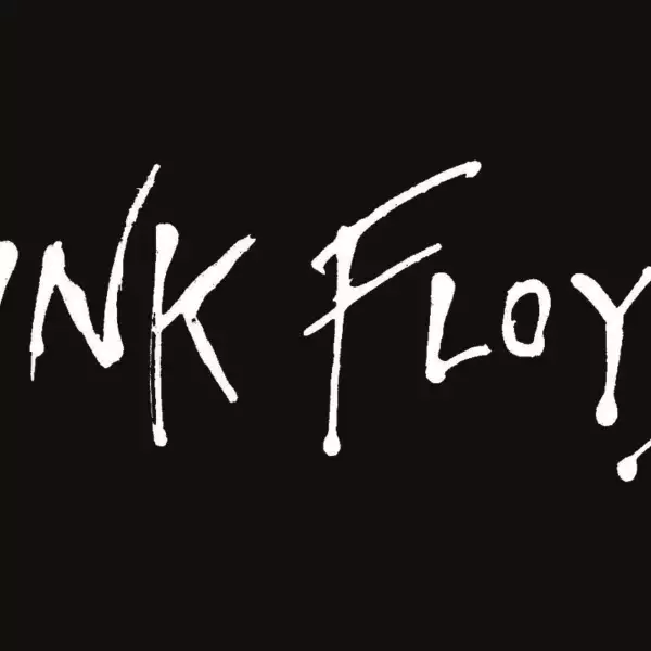 Pink Floyd's first album in 20 years 'The Endless River' to be released this October