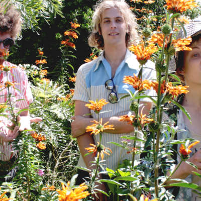 Pond share new Kevin Parker-produced single ‘Sweep Me Off My Feet’
