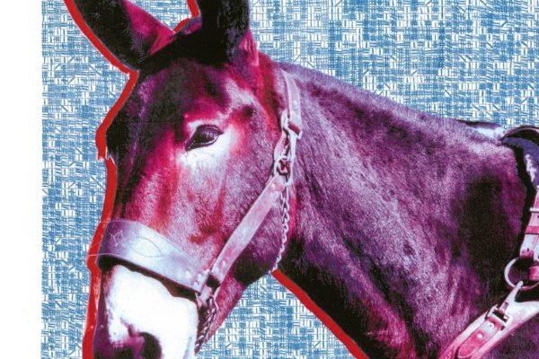 Protomartyr - Ultimate Success Today