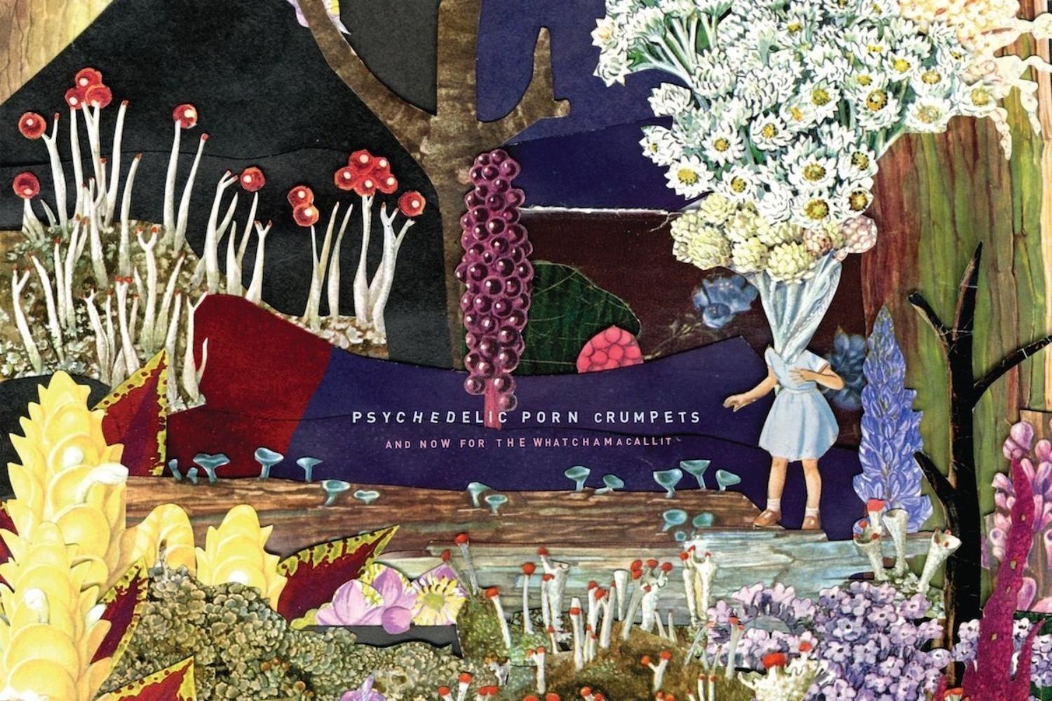 Psychedelic Porn Crumpets - And Now For The Whatchamacallit
