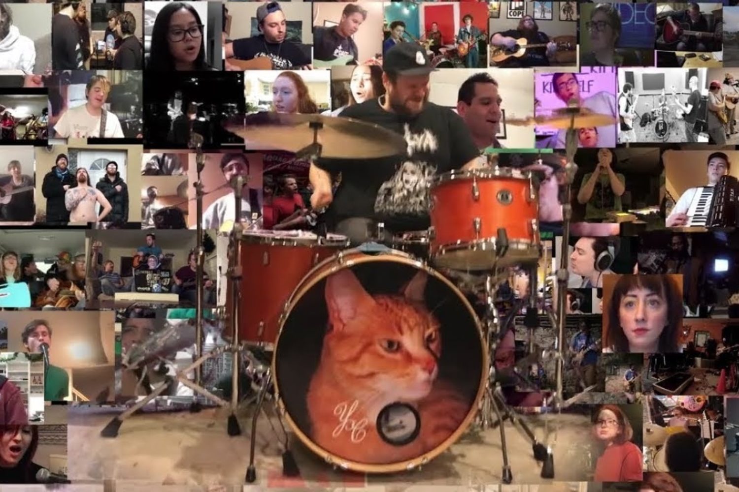 PUP fans (incl Finn Wolfhard) cover a song they've never heard for the band's new 'Free At Last' video