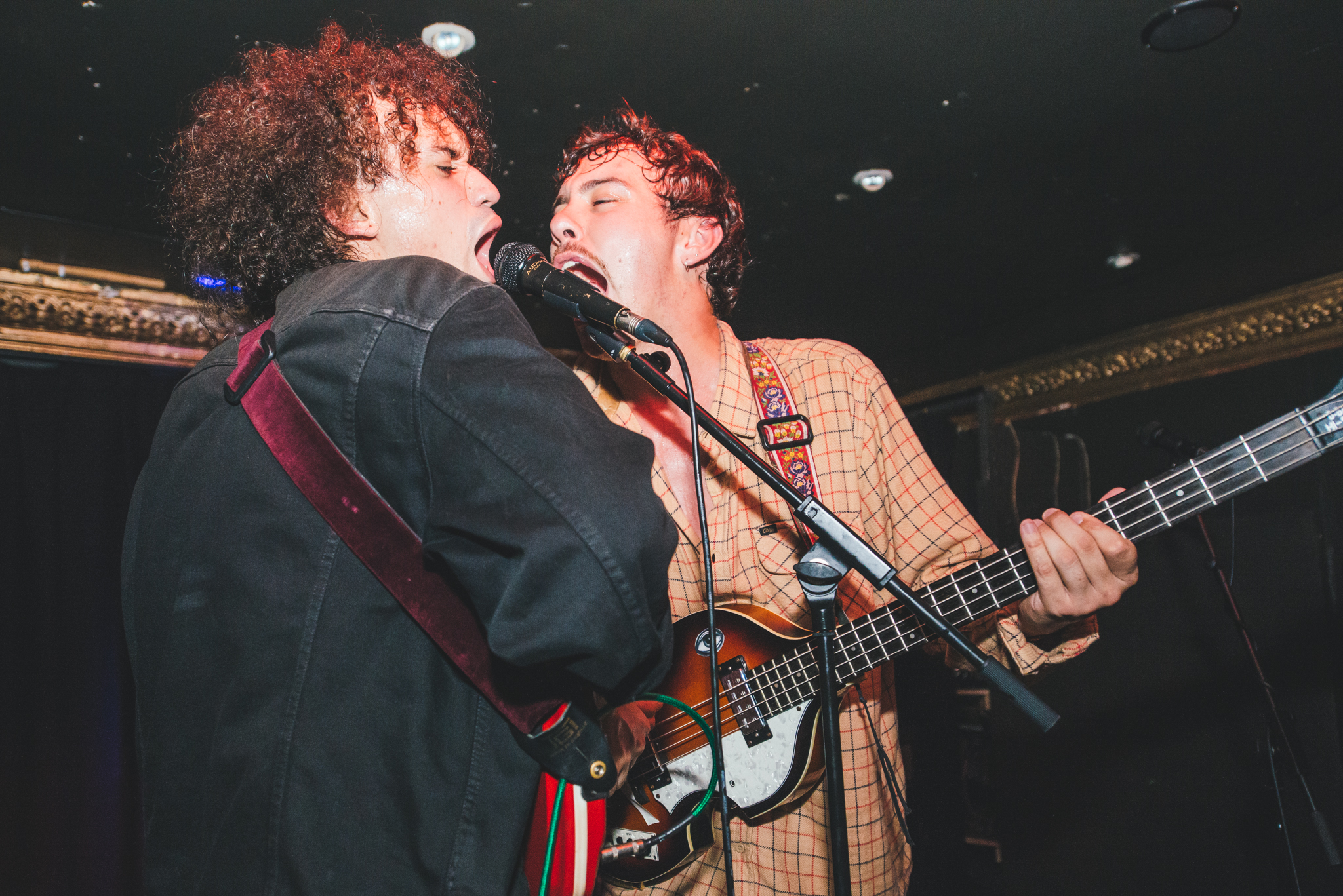 The Parrots, Dalston Victoria, London