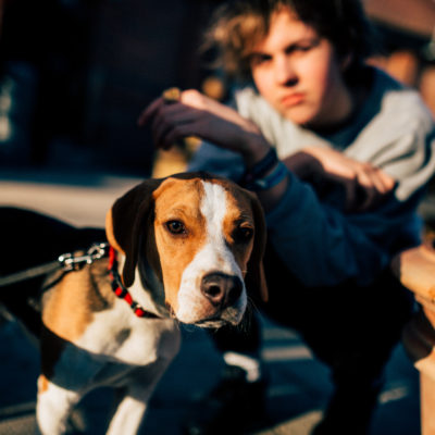 Bestival 2015 adds Rat Boy, Eagulls, LA Priest & more