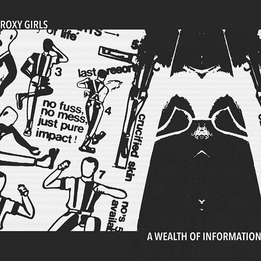 Roxy Girls - A Wealth Of Information