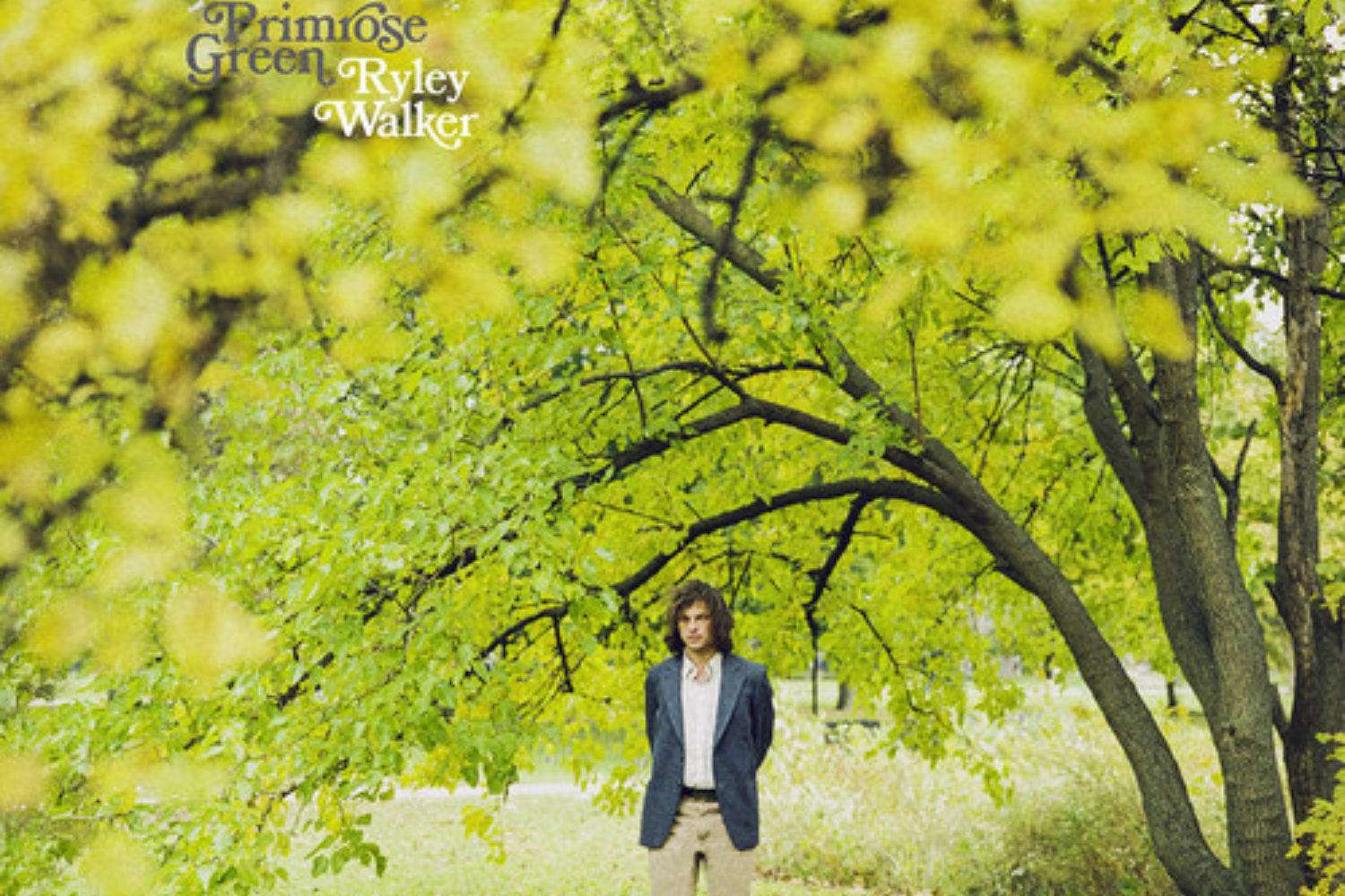 ryley walker course in fable reviews