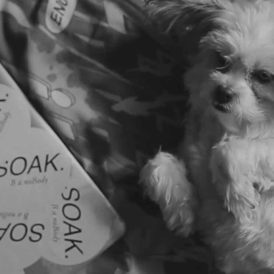 SOAK’s new ‘Blud’ video has puppies, kart-racing and skateboarding