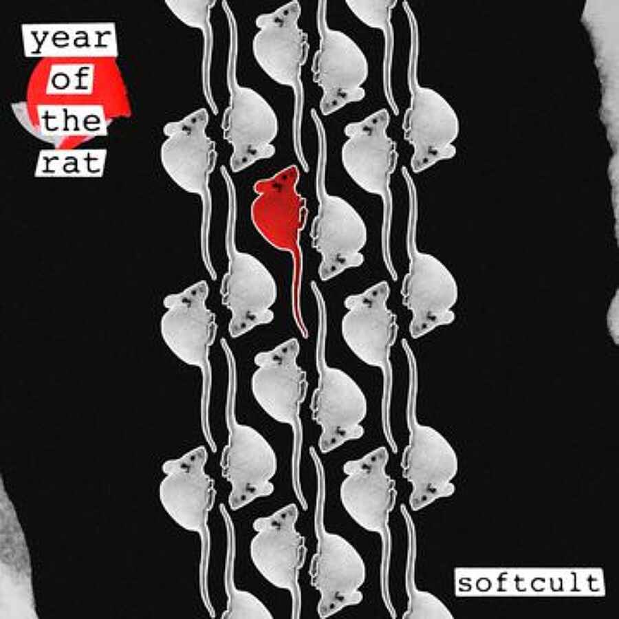 Softcult - Year of the Rat