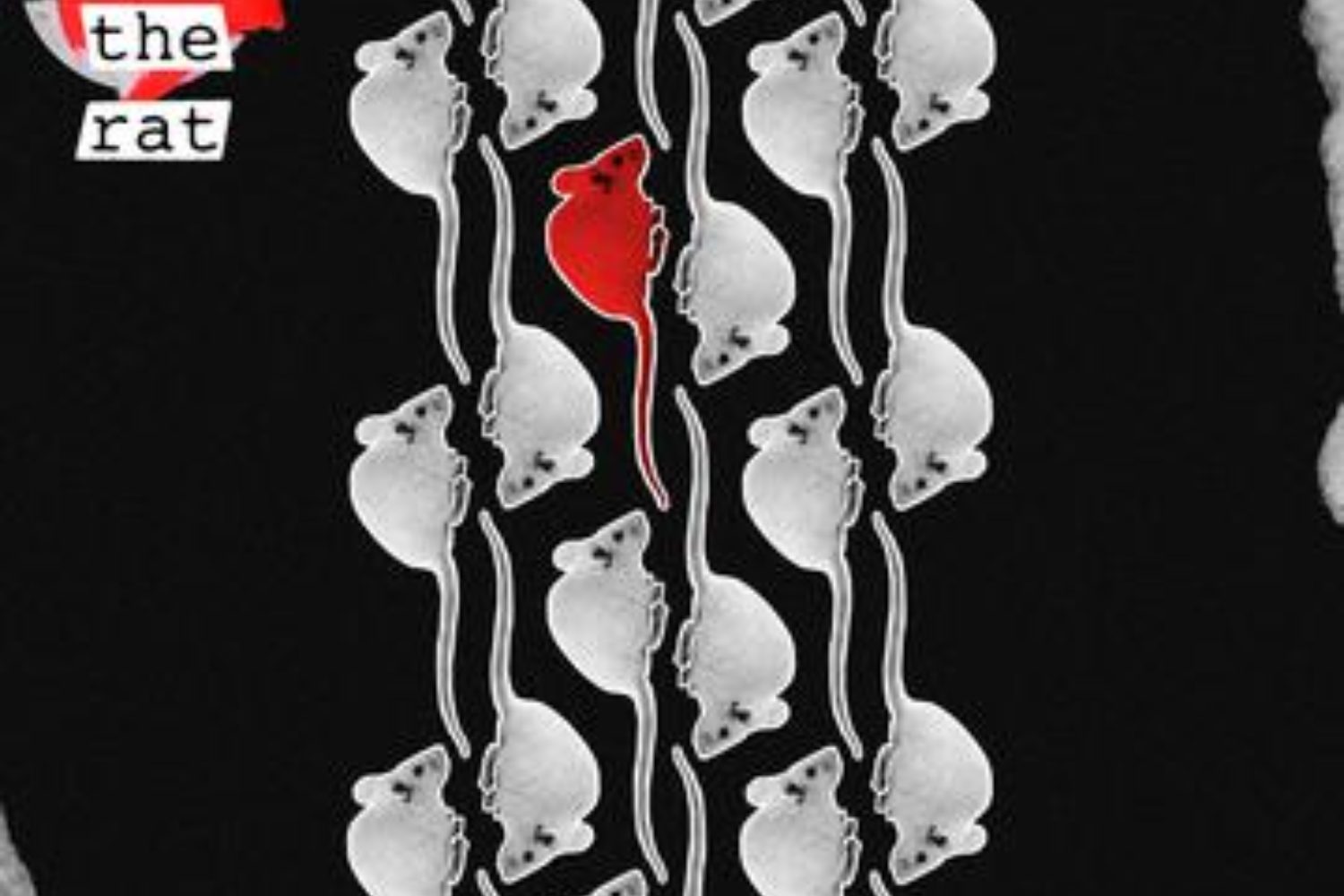 Softcult - Year of the Rat